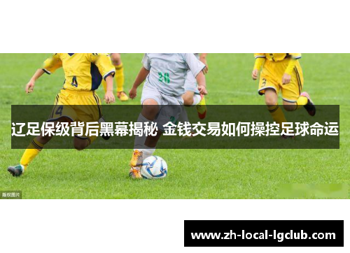 辽足保级背后黑幕揭秘 金钱交易如何操控足球命运